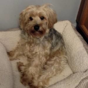 Meet your Posher, Tammy